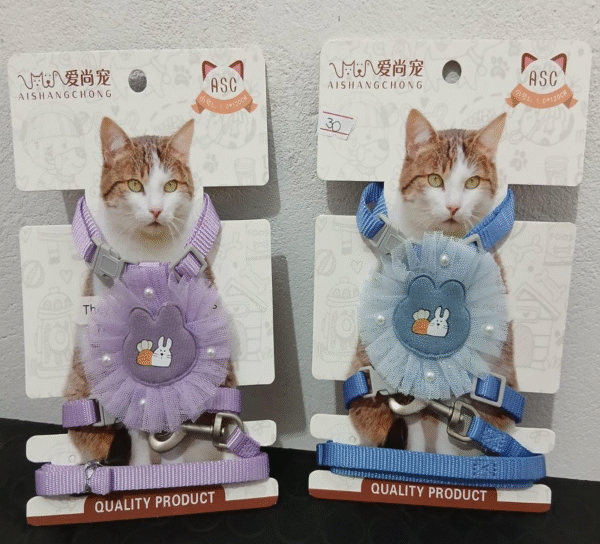 Pechera gatos Tamaño único pequeño