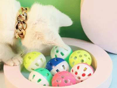 Bolas de pelotas/ juguetes para gatos