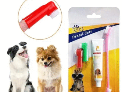 Kit cepillo de dientes y crema dental para perros y gatos