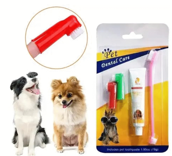 Kit cepillo de dientes y crema dental para perros y gatos